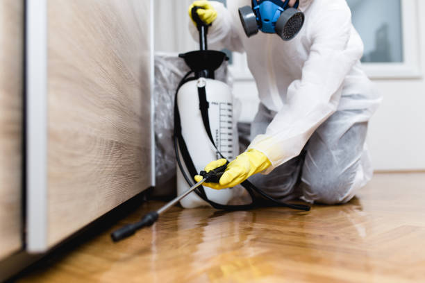 Best Emergency Pest Control  in Wallington, NJ