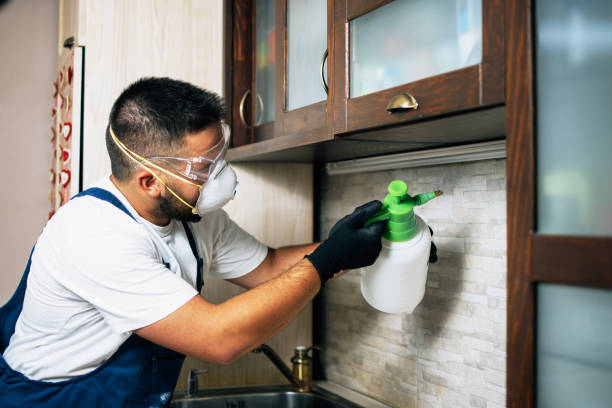 Best Best Pest Control Companies  in Wallington, NJ