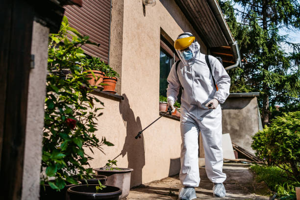 Best Wasp Removal Services  in Wallington, NJ