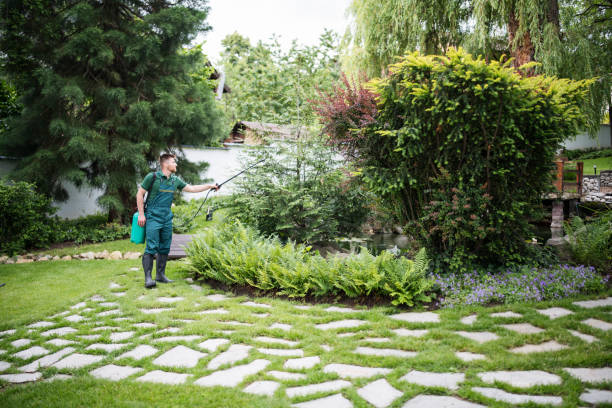Best Cockroach Control Services  in Wallington, NJ