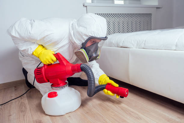 Best Local Pest Control Services  in Wallington, NJ
