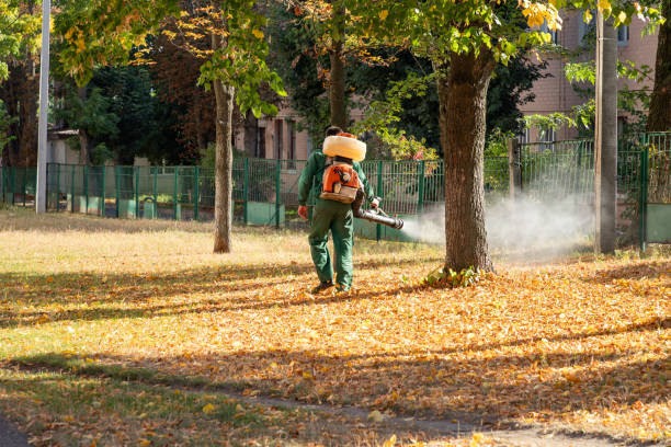 Trusted Wallington, NJ Pest Control Experts