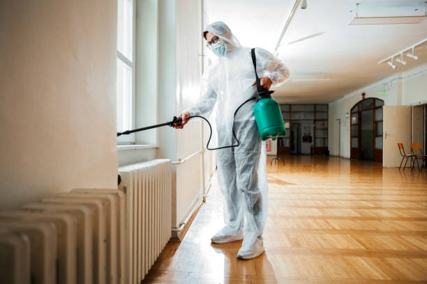 Best Insect Control  in Wallington, NJ