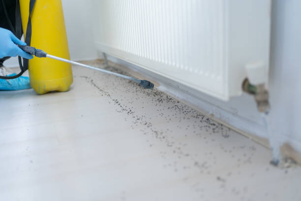 Best Commercial Pest Control Services  in Wallington, NJ